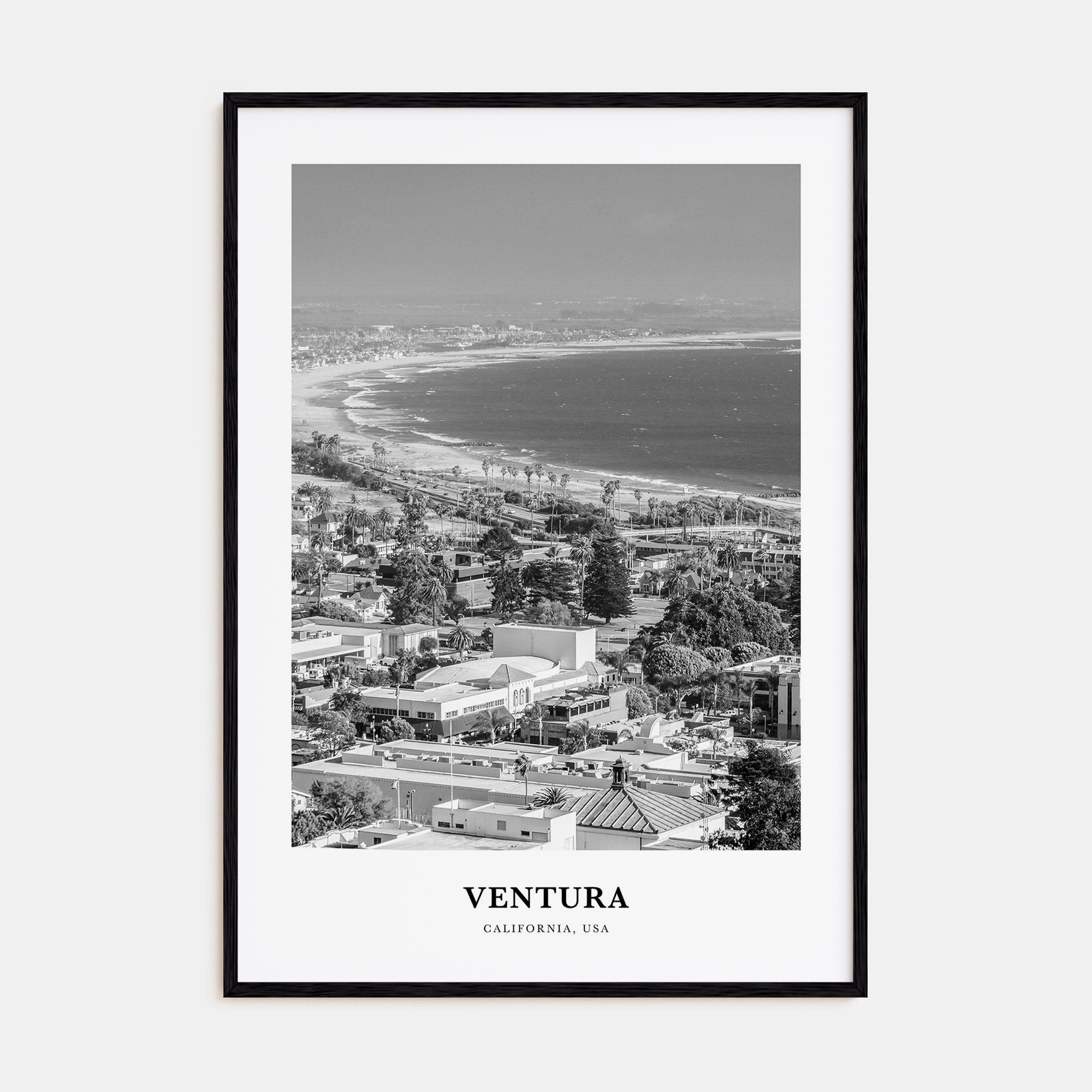 Ventura Portrait B&W No 2 Poster