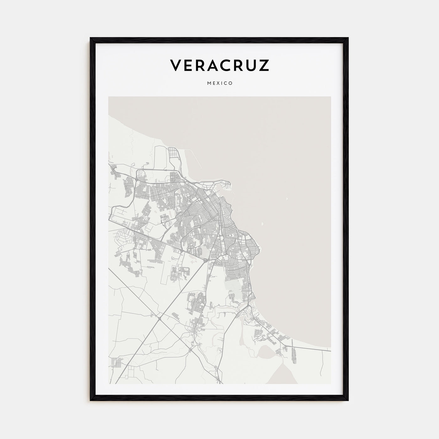Veracruz Map Portrait Poster