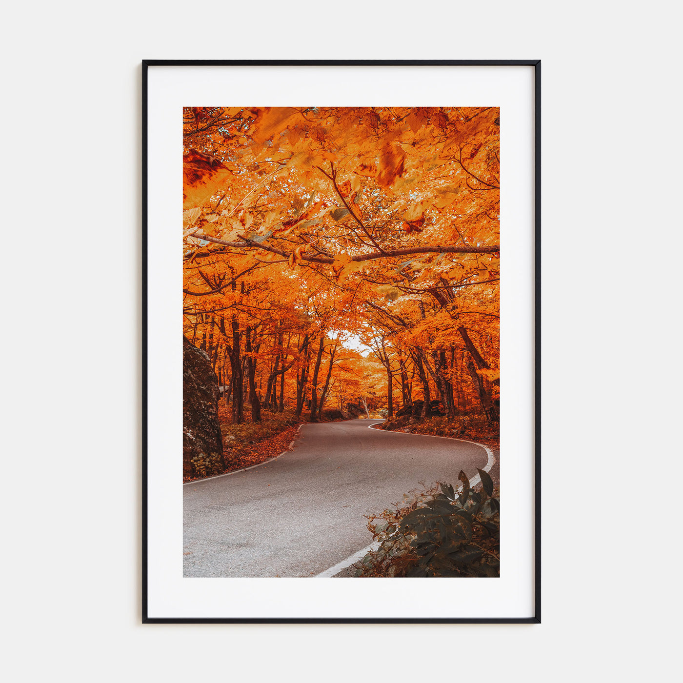 Vermont Photo Color No 2 Poster