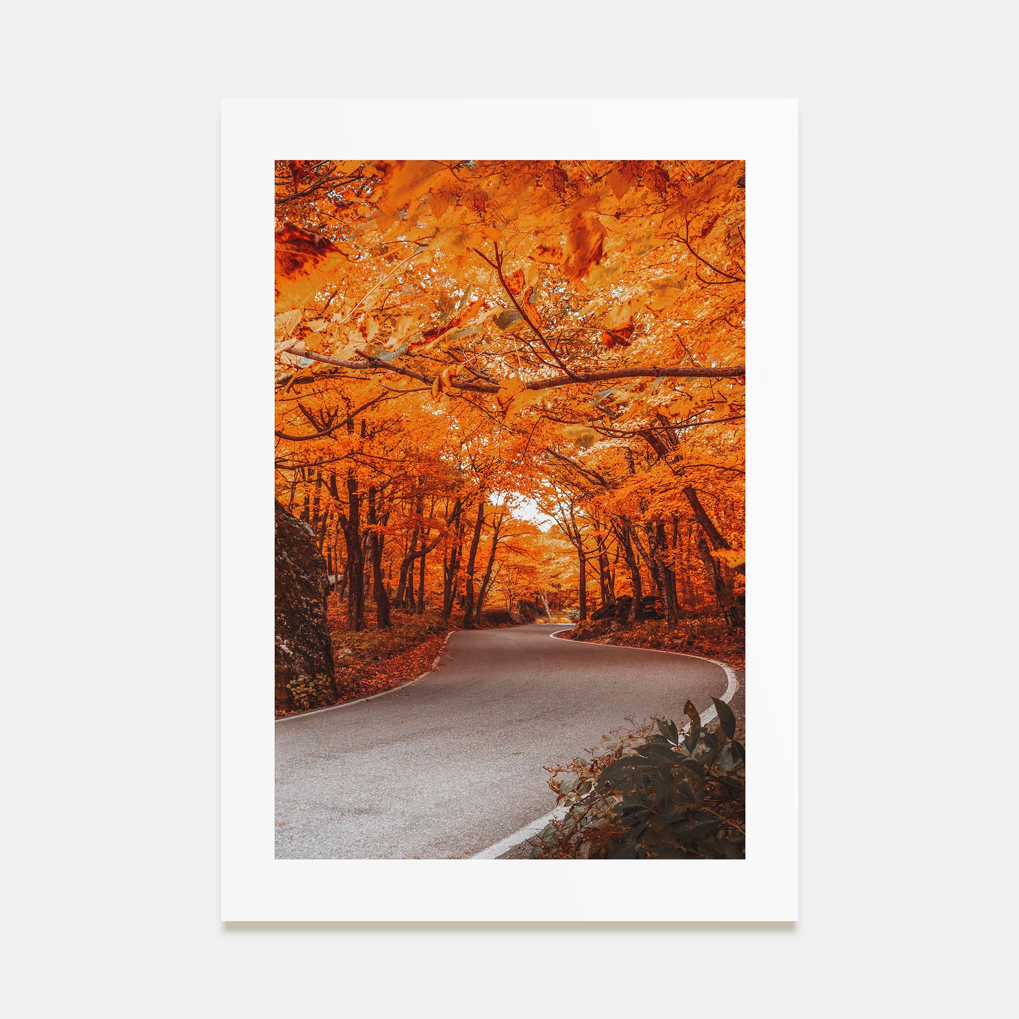Vermont Photo Color No 2 Poster