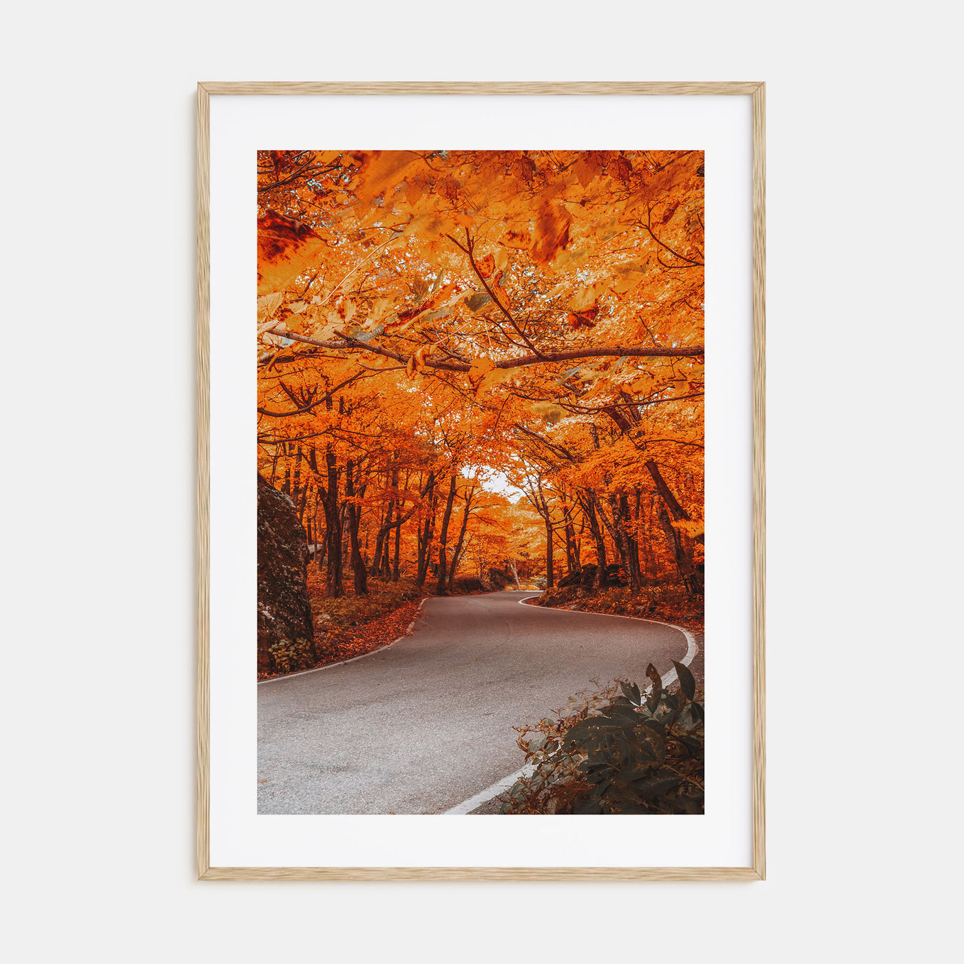Vermont Photo Color No 2 Poster