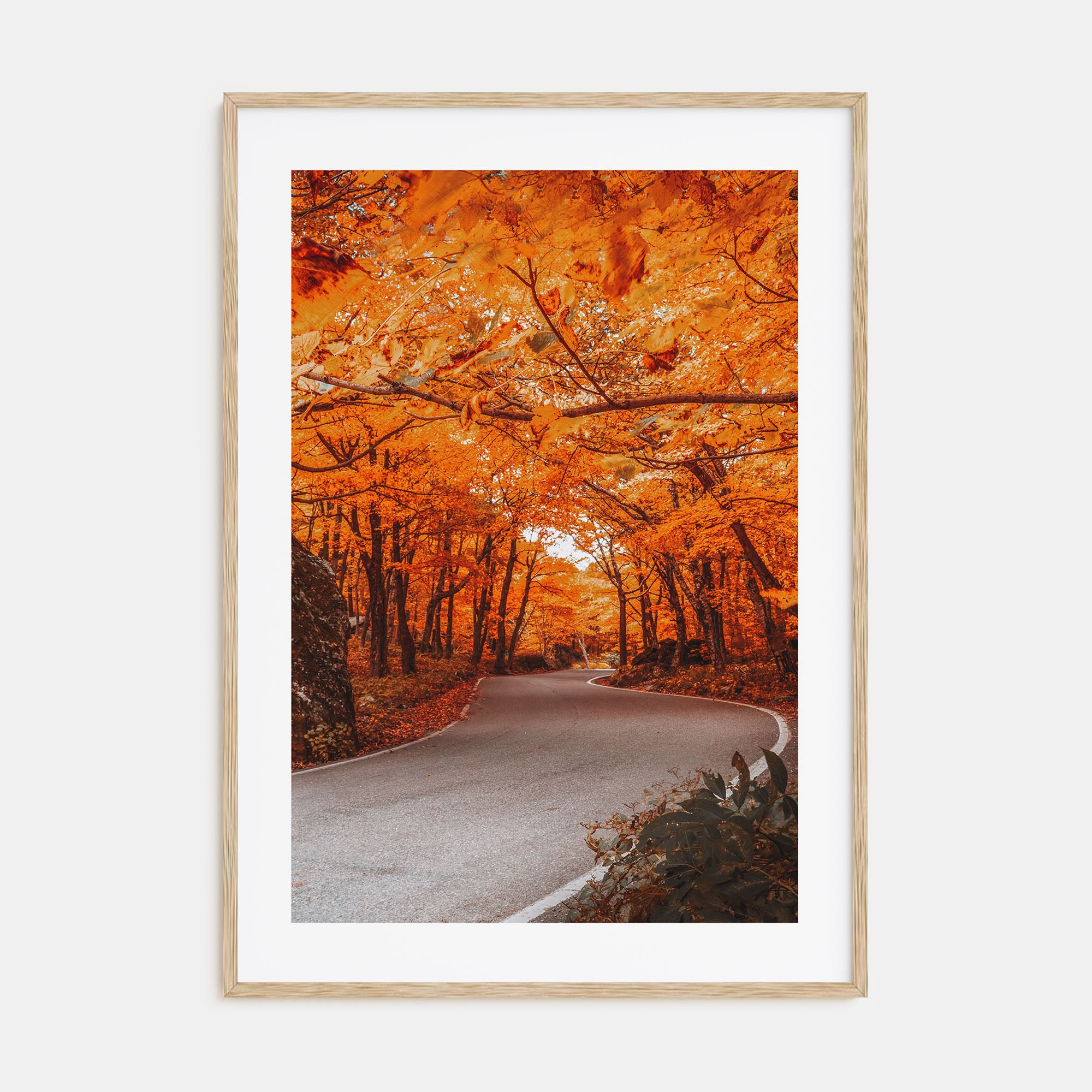Vermont Photo Color No 2 Poster