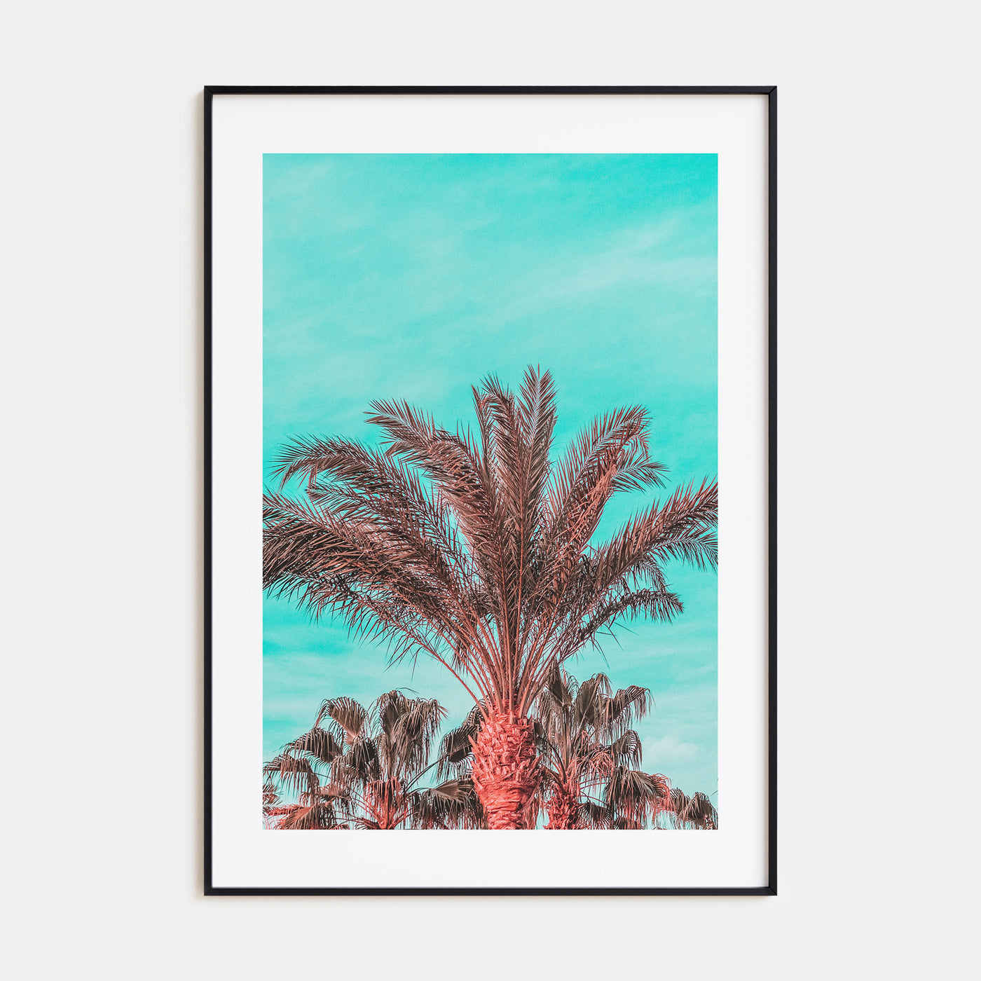 Vibrant Palm Trees Photo Color Poster