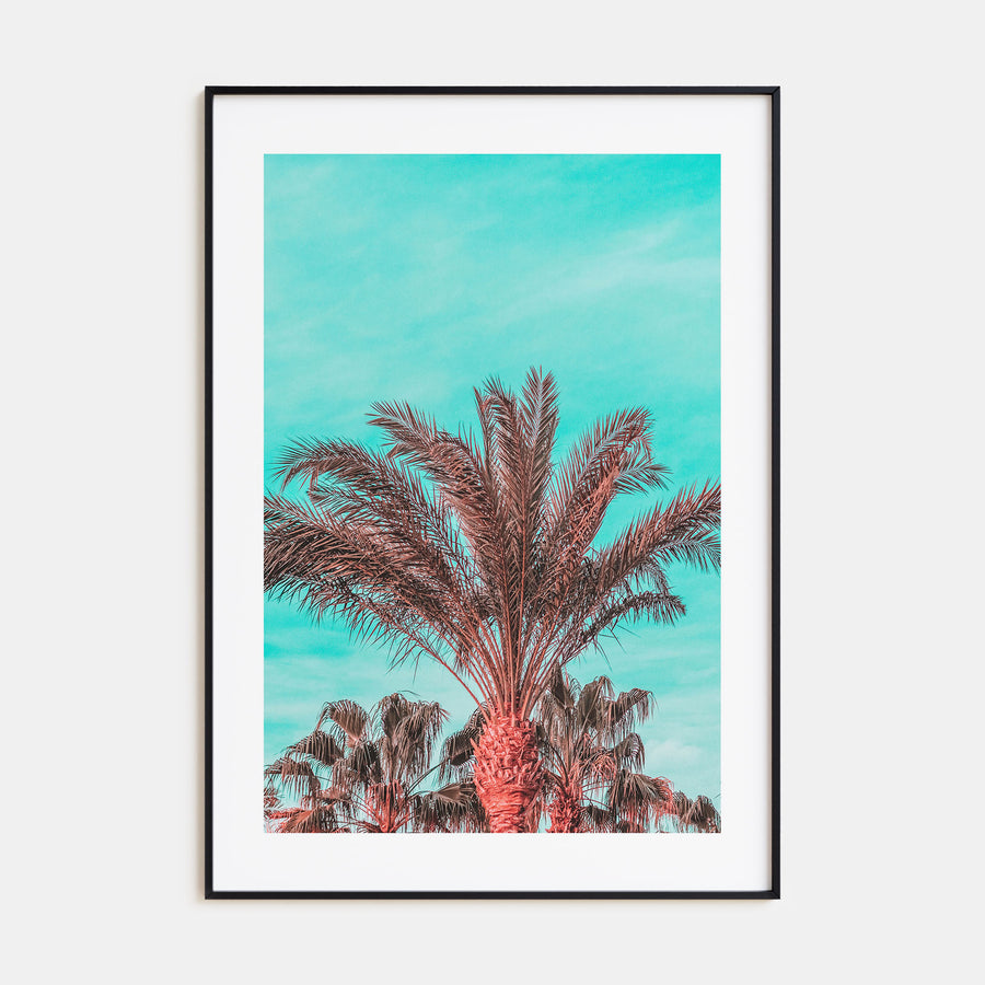 Vibrant Palm Trees Photo Color Poster