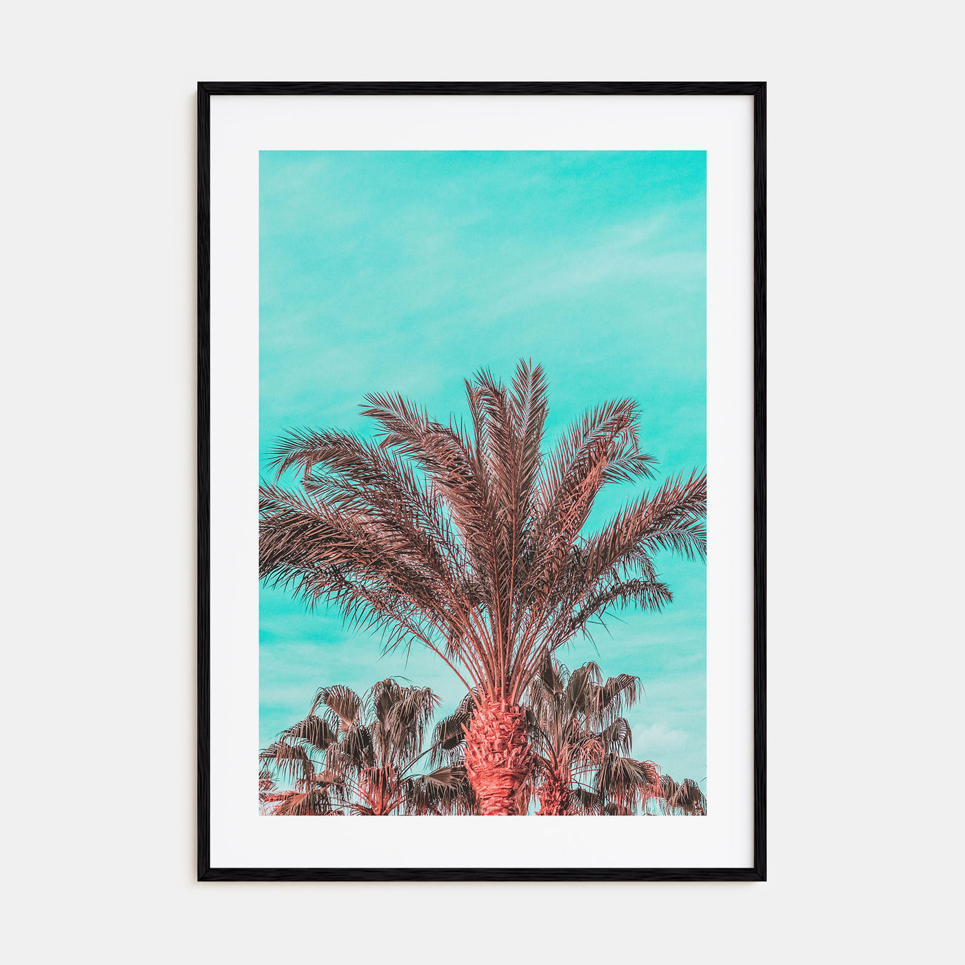 Vibrant Palm Trees Photo Color Poster