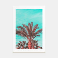Vibrant Palm Trees Photo Color Poster