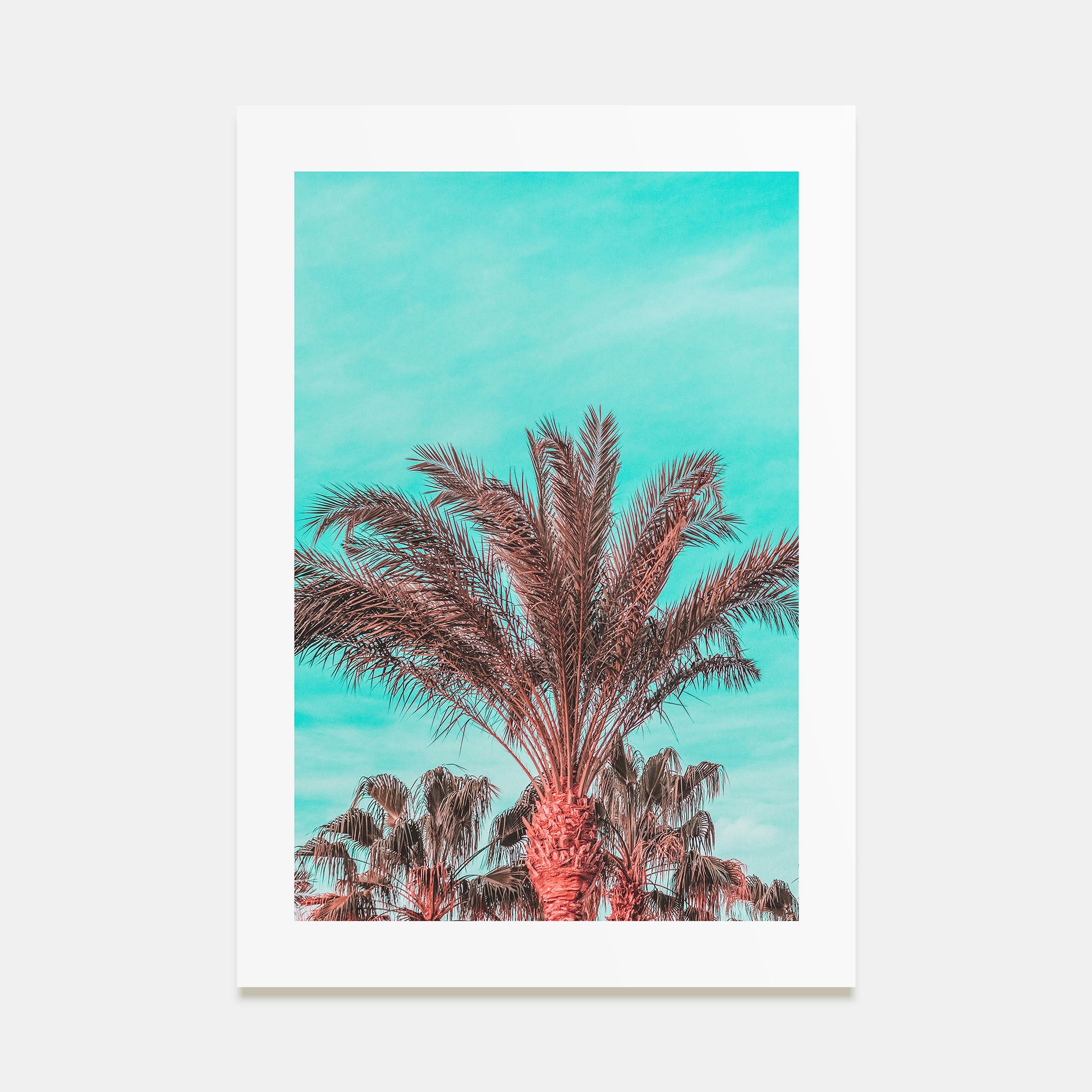 Vibrant Palm Trees Photo Color Poster