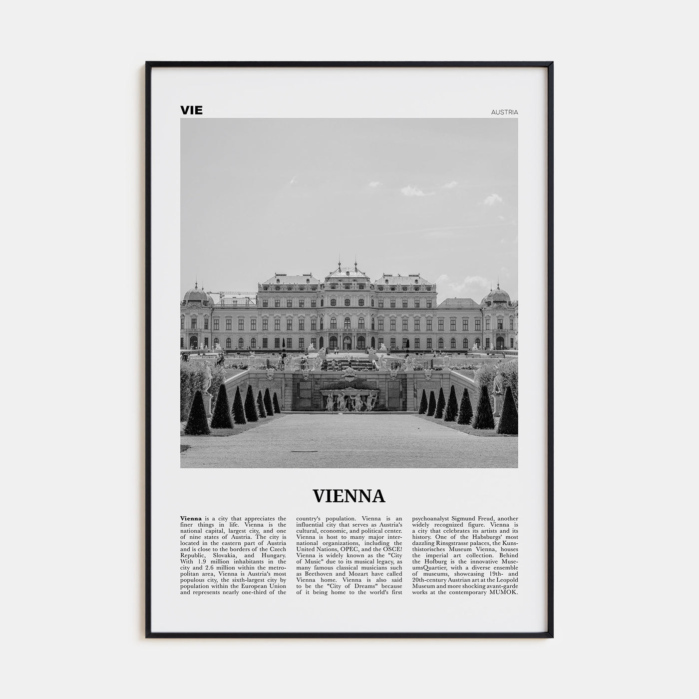 Vienna Travel B&W No 2 Poster