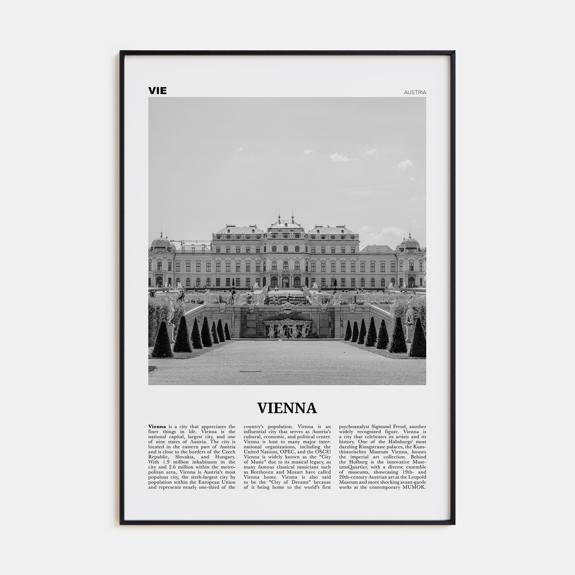 Vienna Travel B&W No 2 Poster