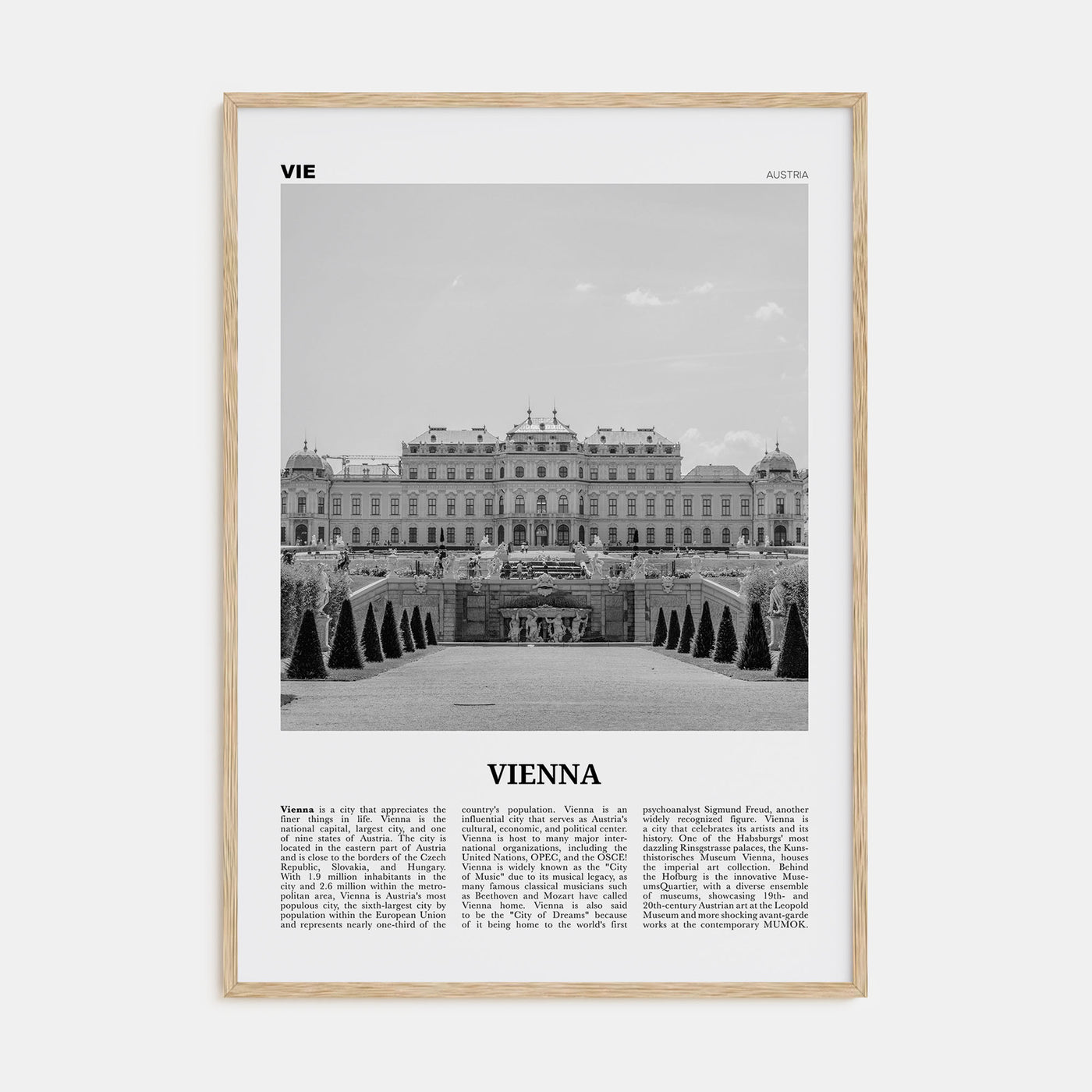 Vienna Travel B&W No 2 Poster
