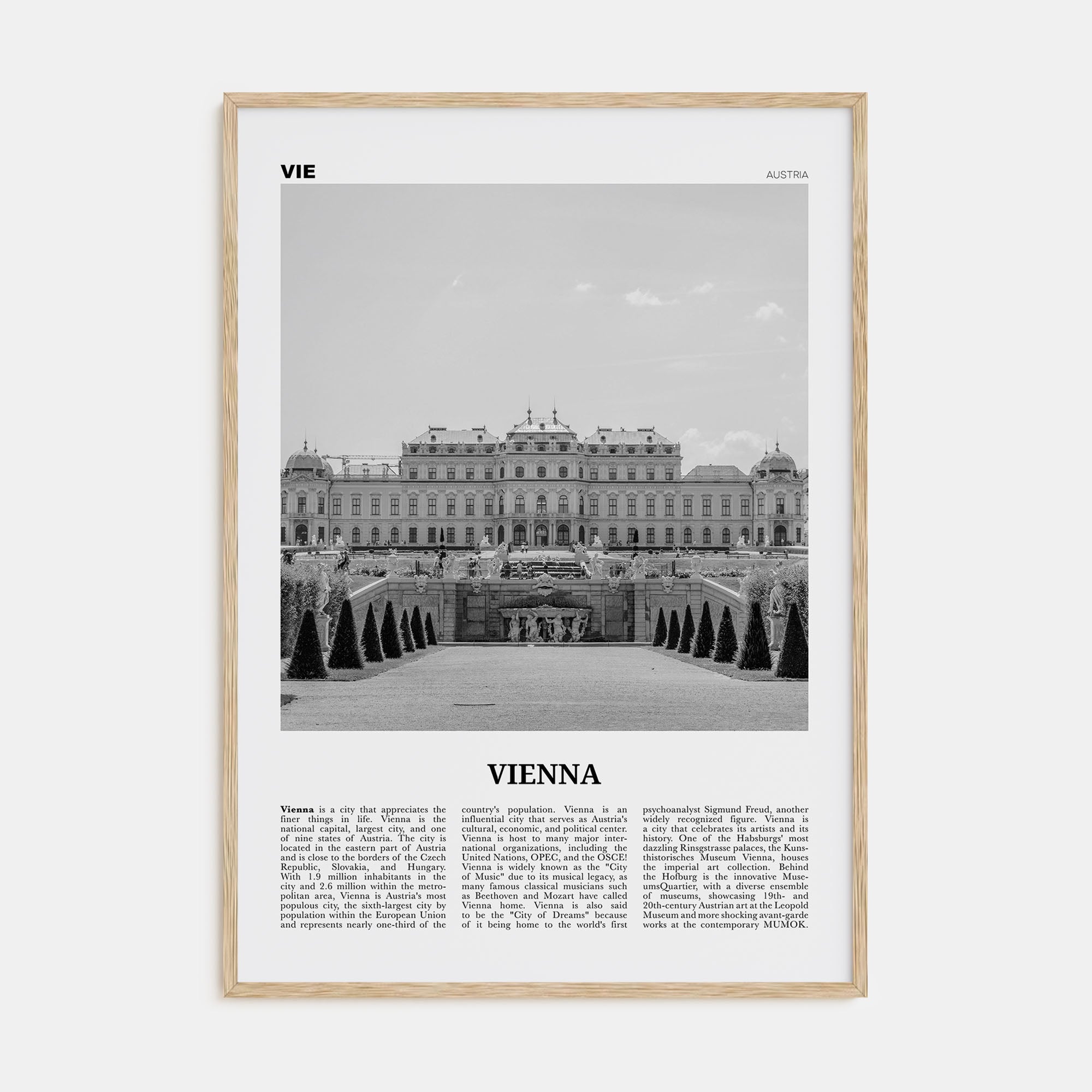 Vienna Travel B&W No 2 Poster