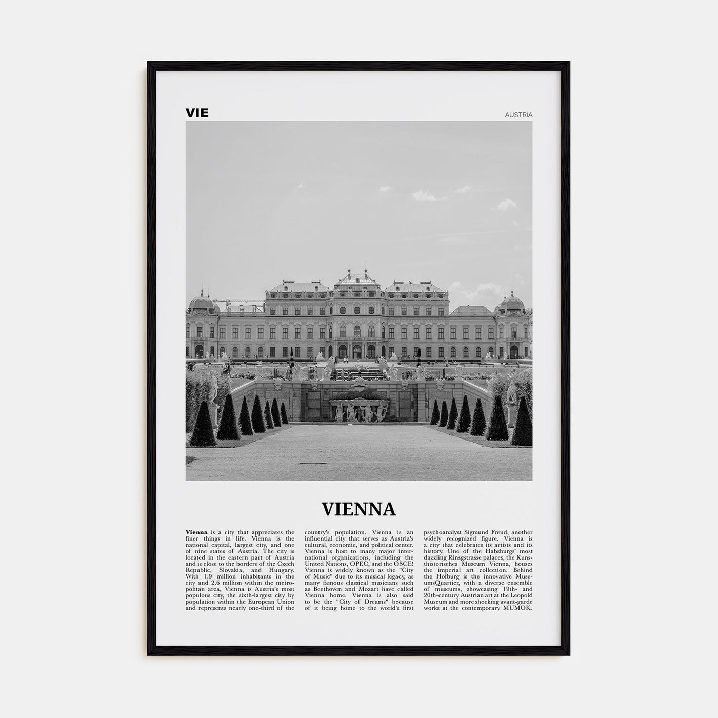 Vienna Travel B&W No 2 Poster