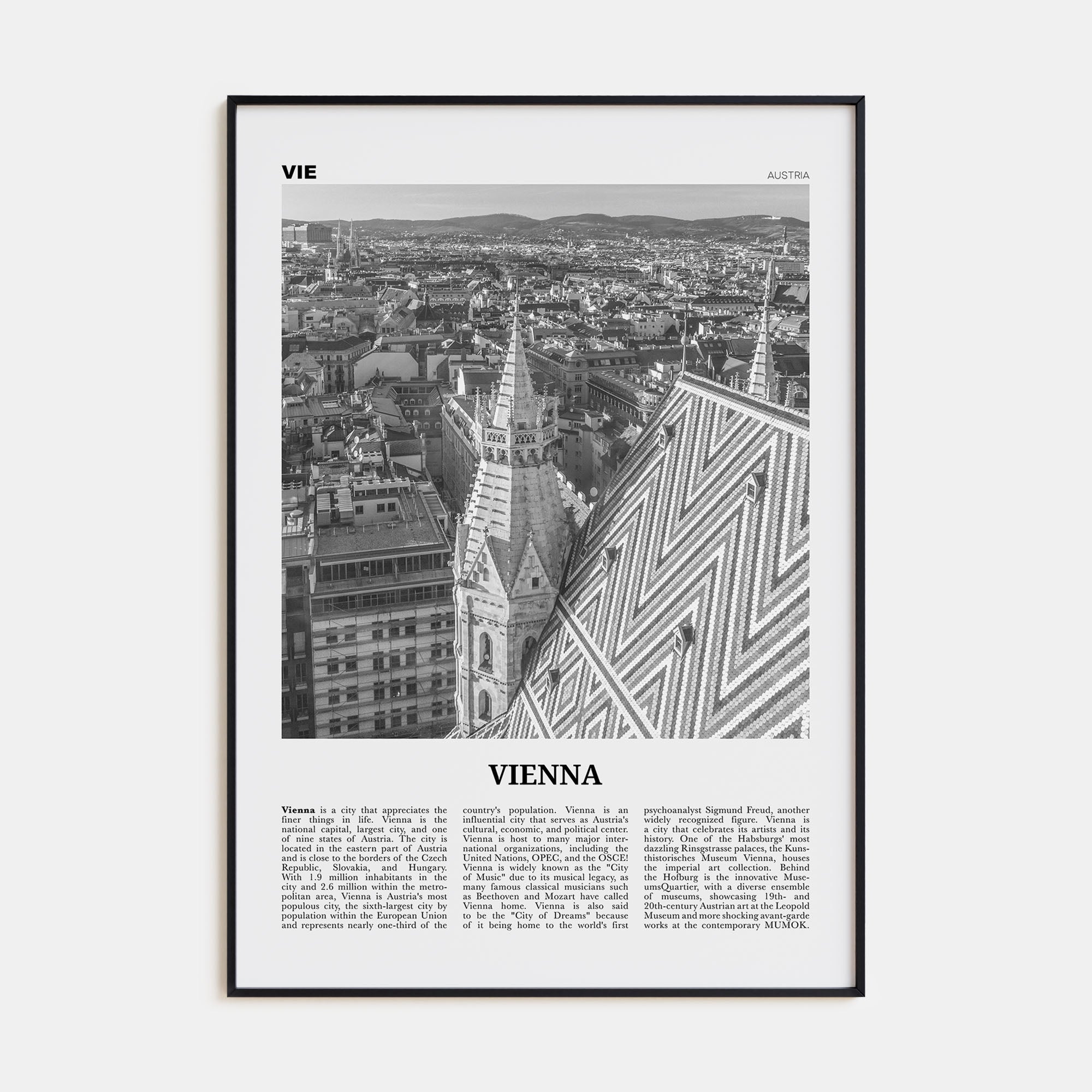 Vienna Travel B&W No 3 Poster
