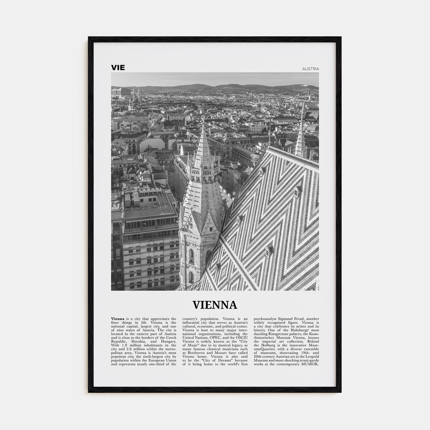 Vienna Travel B&W No 3 Poster