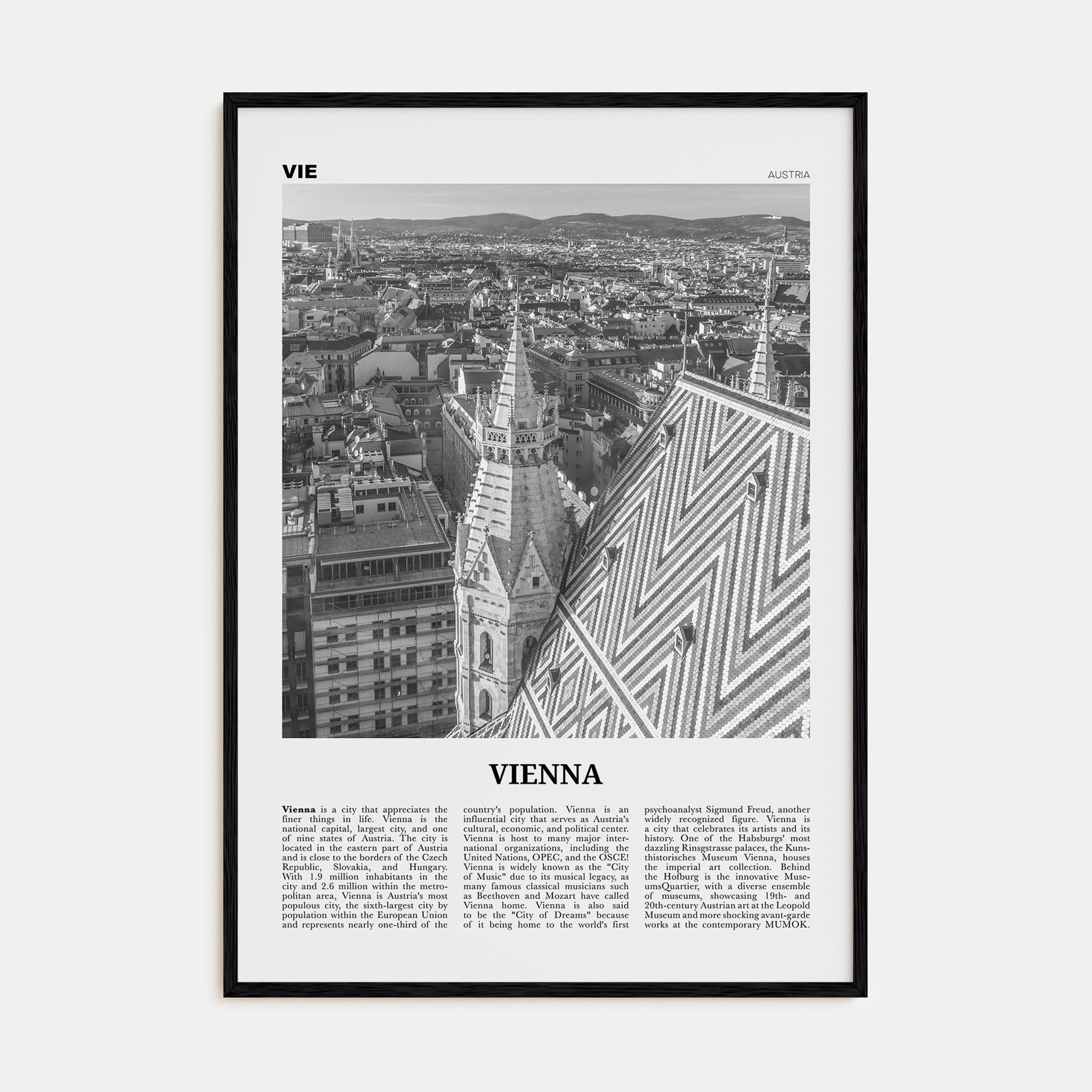 Vienna Travel B&W No 3 Poster
