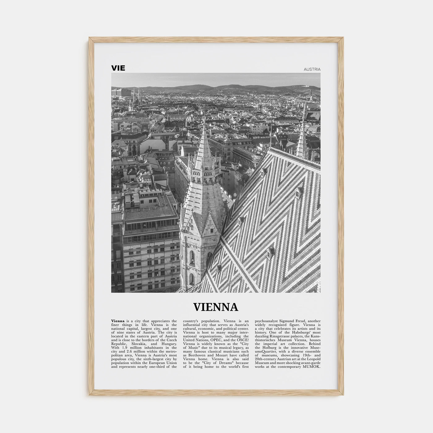 Vienna Travel B&W No 3 Poster