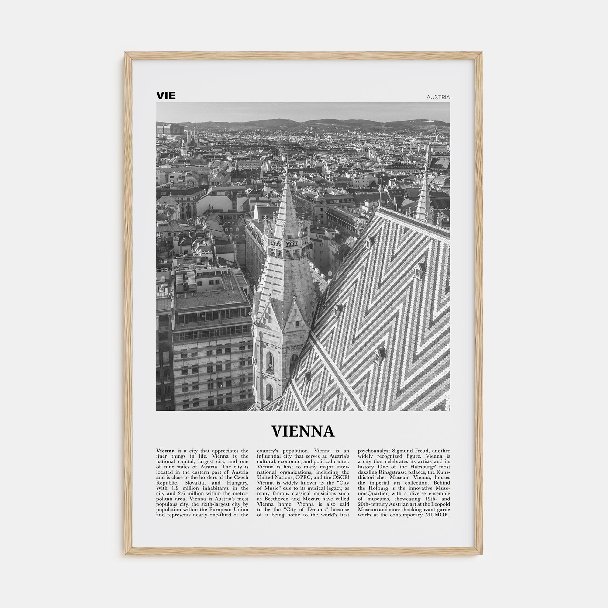 Vienna Travel B&W No 3 Poster