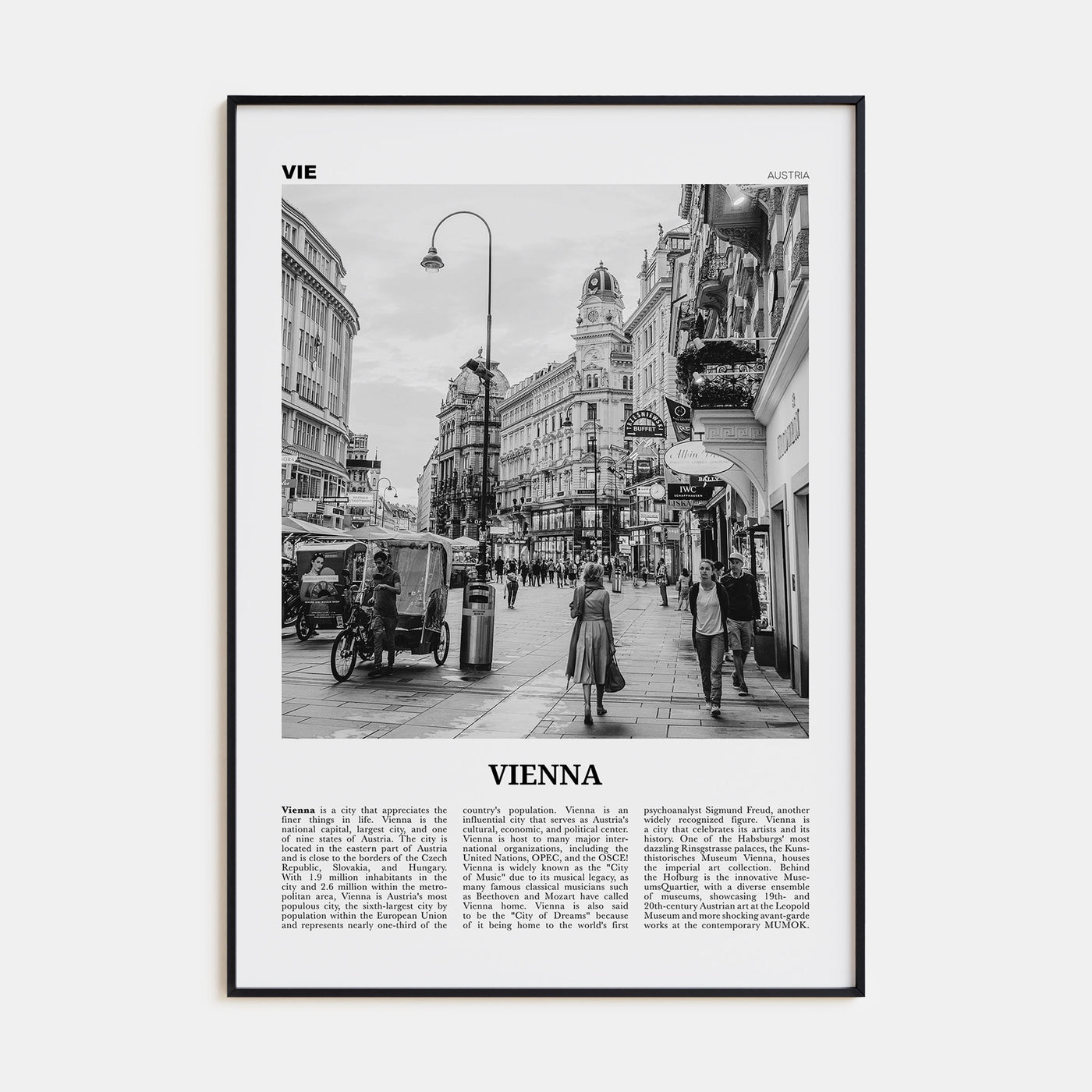Vienna Travel B&W No 4 Poster