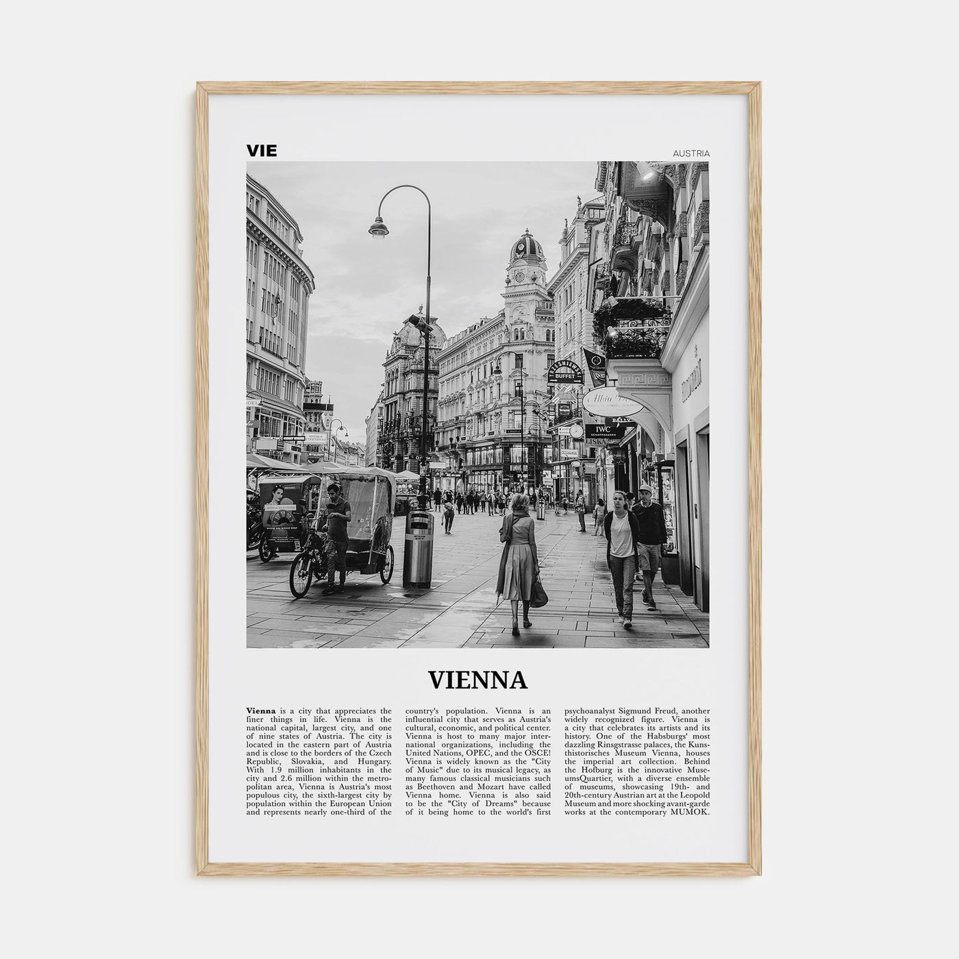 Vienna Travel B&W No 4 Poster