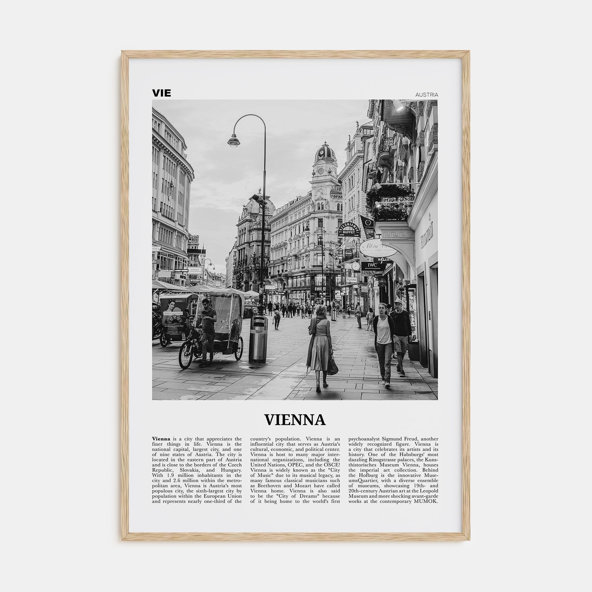 Vienna Travel B&W No 4 Poster
