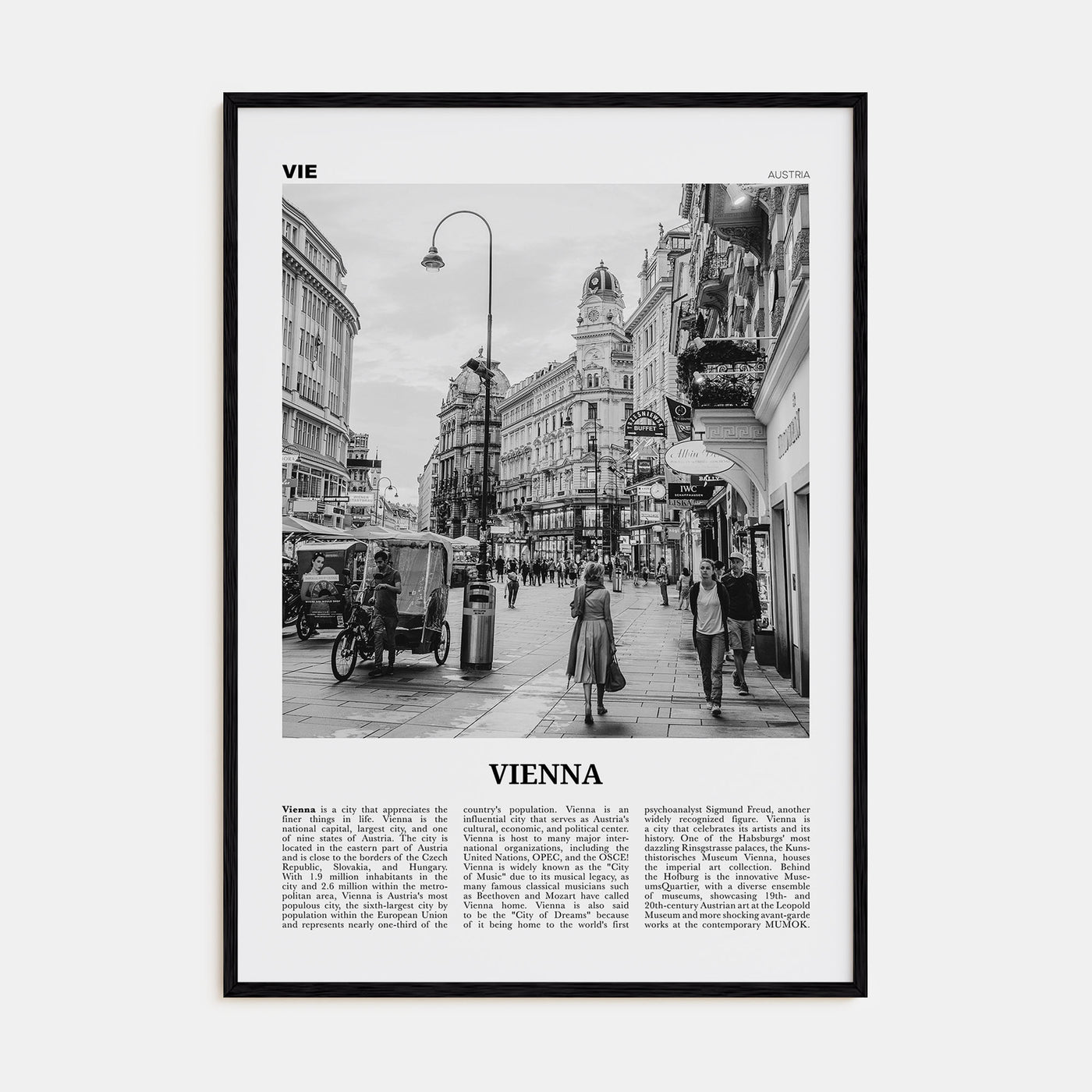 Vienna Travel B&W No 4 Poster