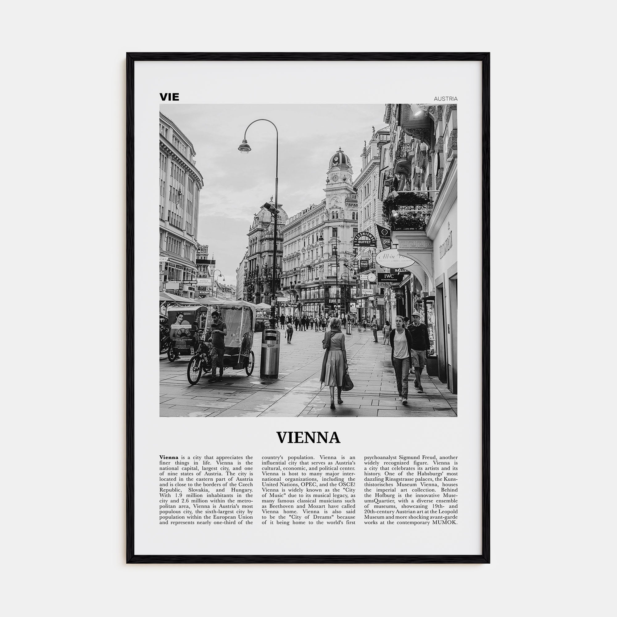 Vienna Travel B&W No 4 Poster