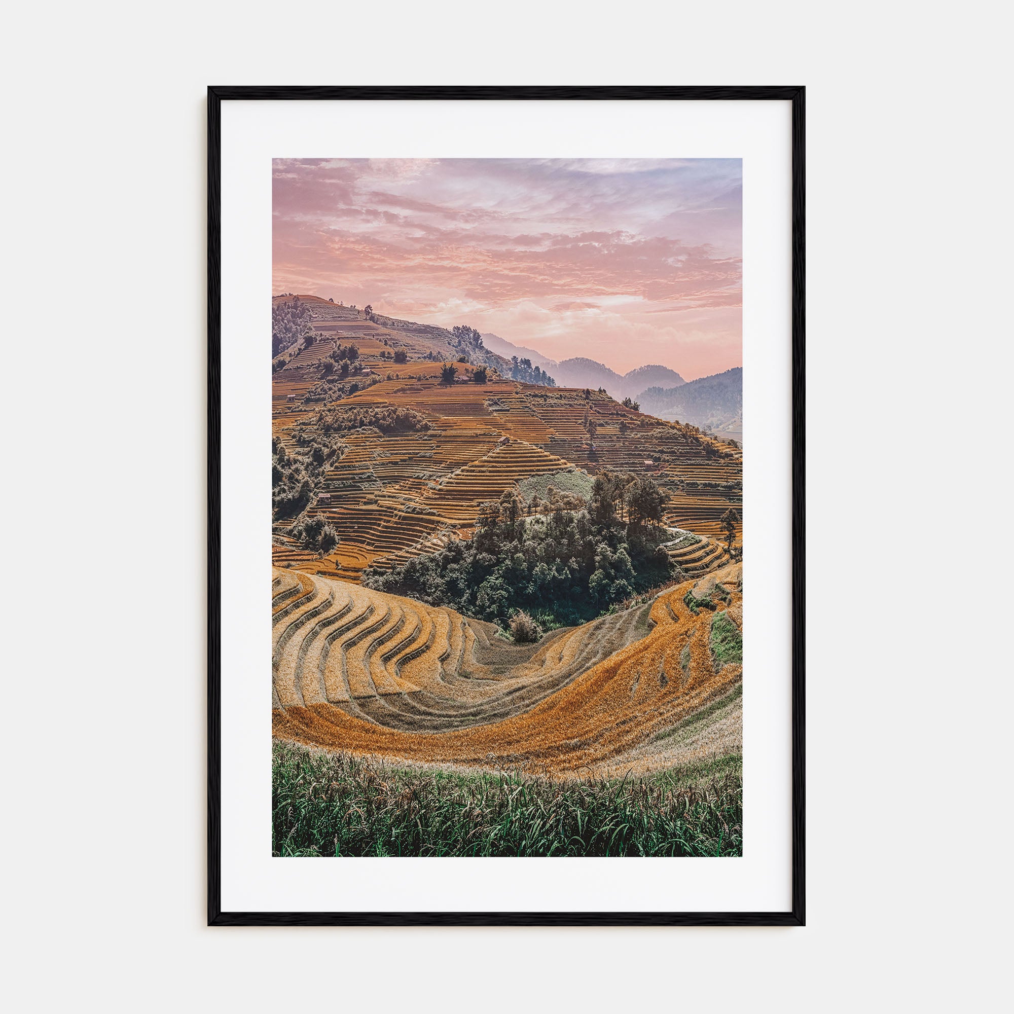 Vietnam Photo Color Poster