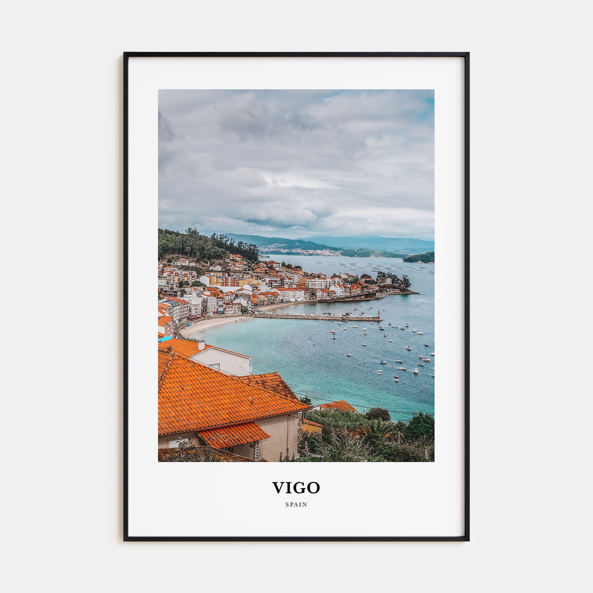 Vigo Portrait Color Poster