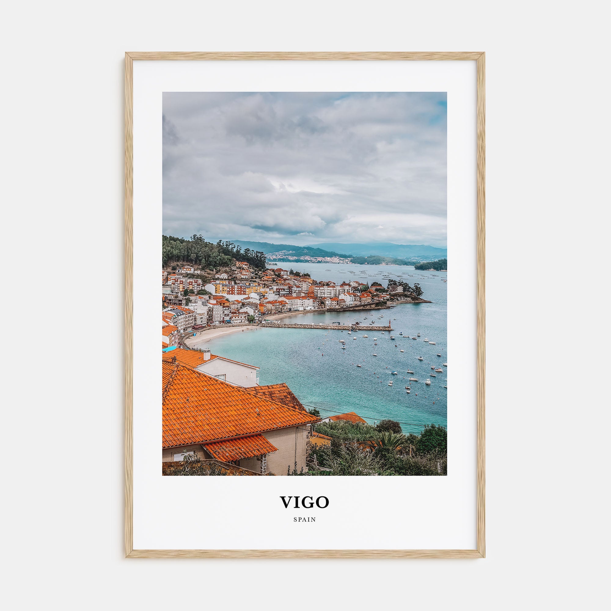 Vigo Portrait Color Poster