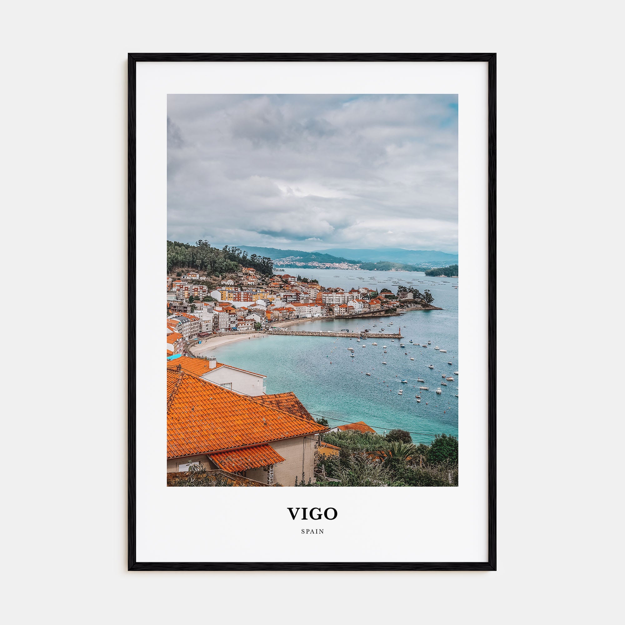 Vigo Portrait Color Poster