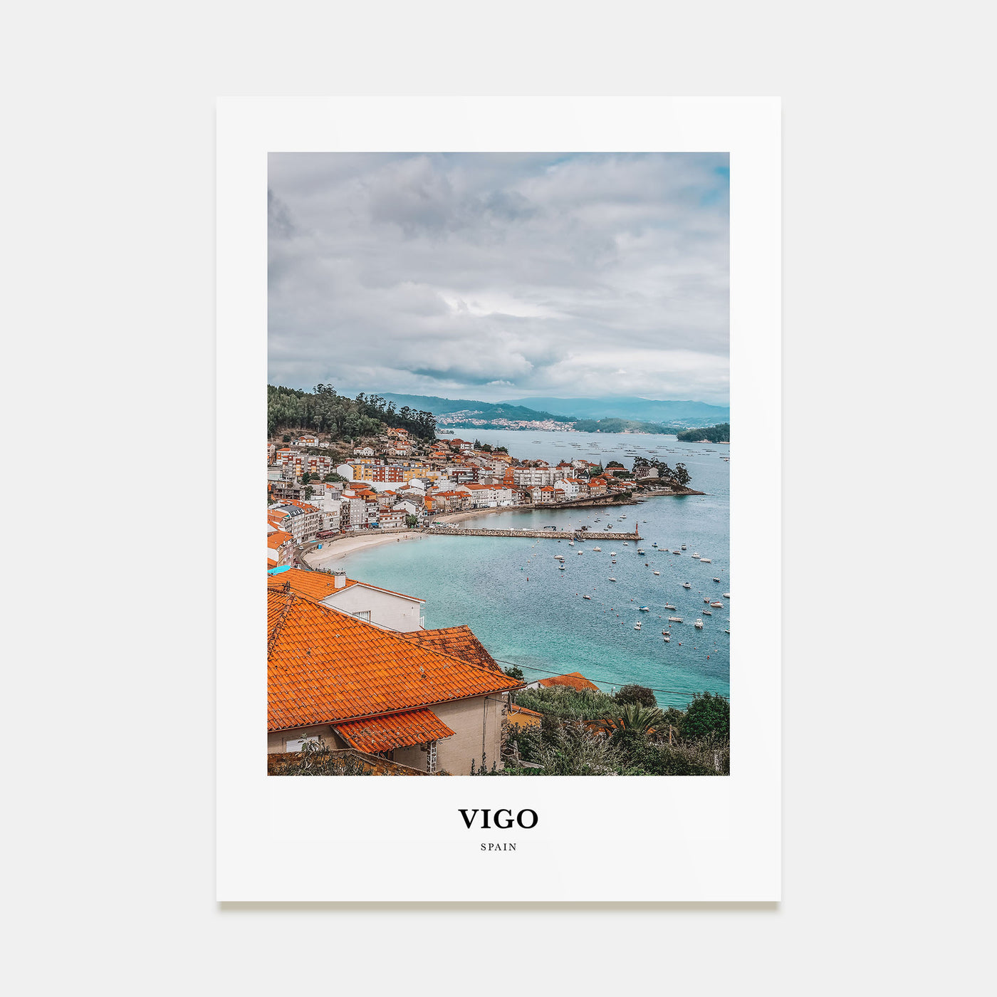 Vigo Portrait Color Poster