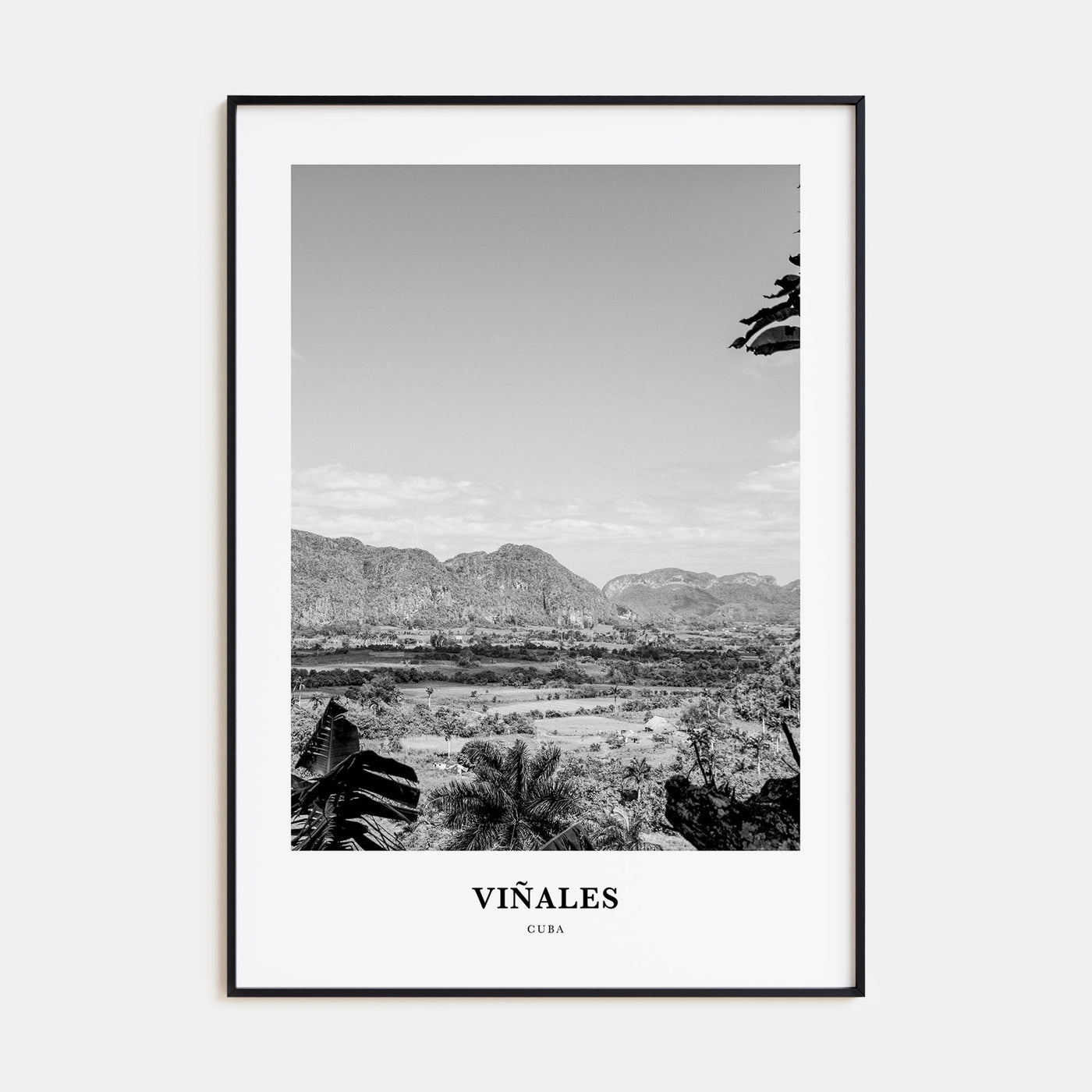 Viñales Portrait B&W Poster