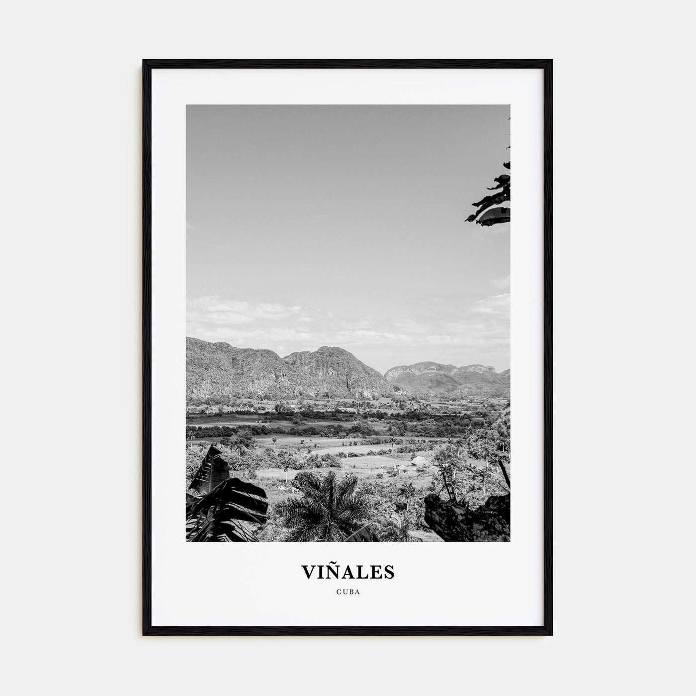 Viñales Portrait B&W Poster