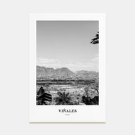 Viñales Portrait B&W Poster