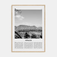 Viñales Travel B&W Poster