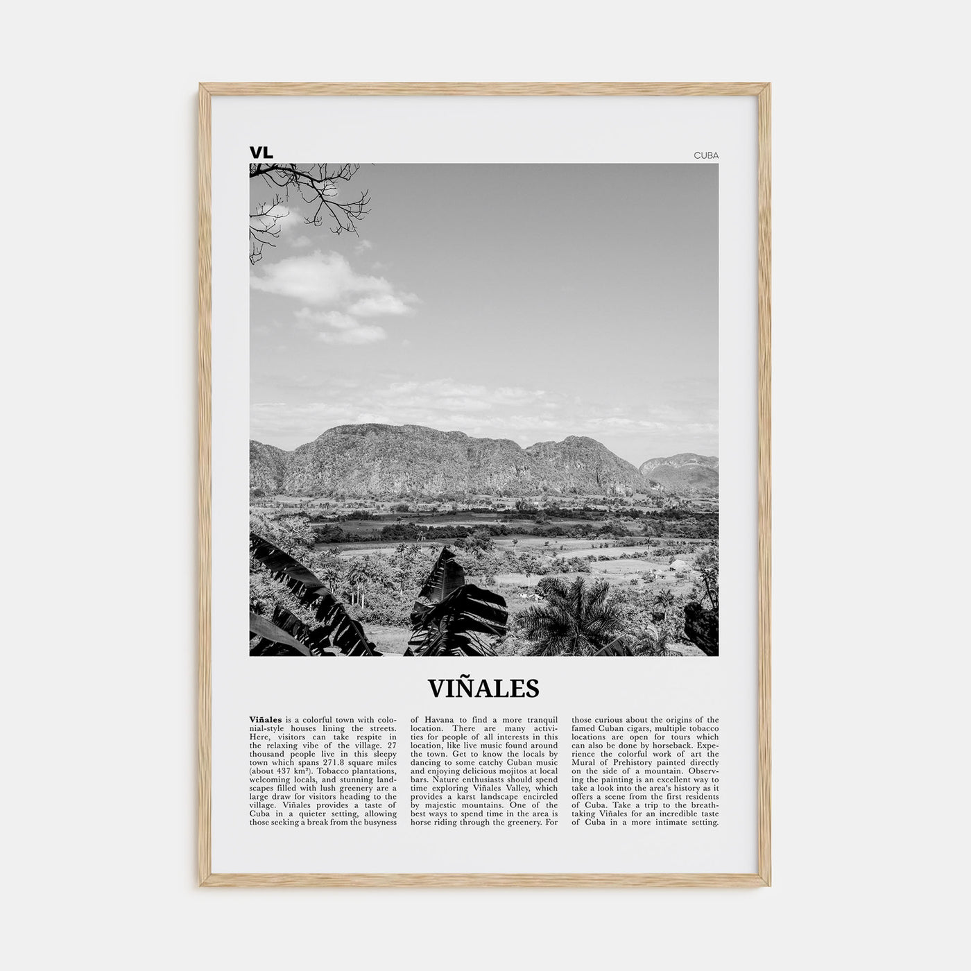 Viñales Travel B&W Poster