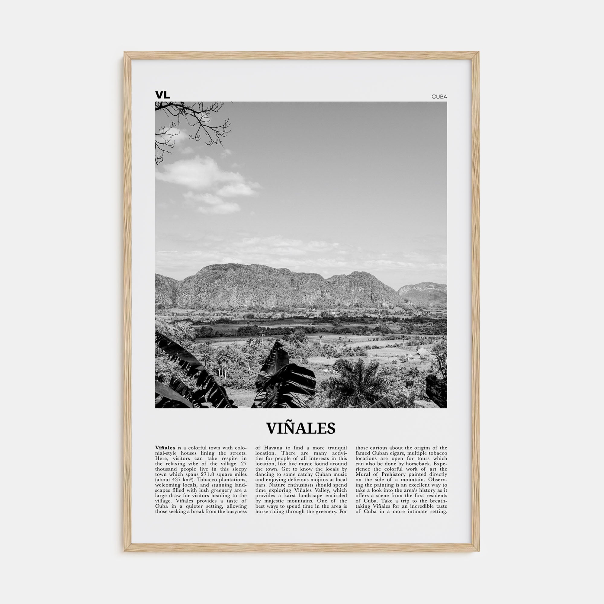 Viñales Travel B&W Poster