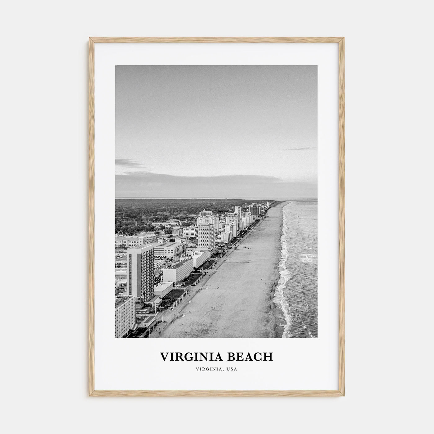 Virginia Beach Portrait B&W Poster