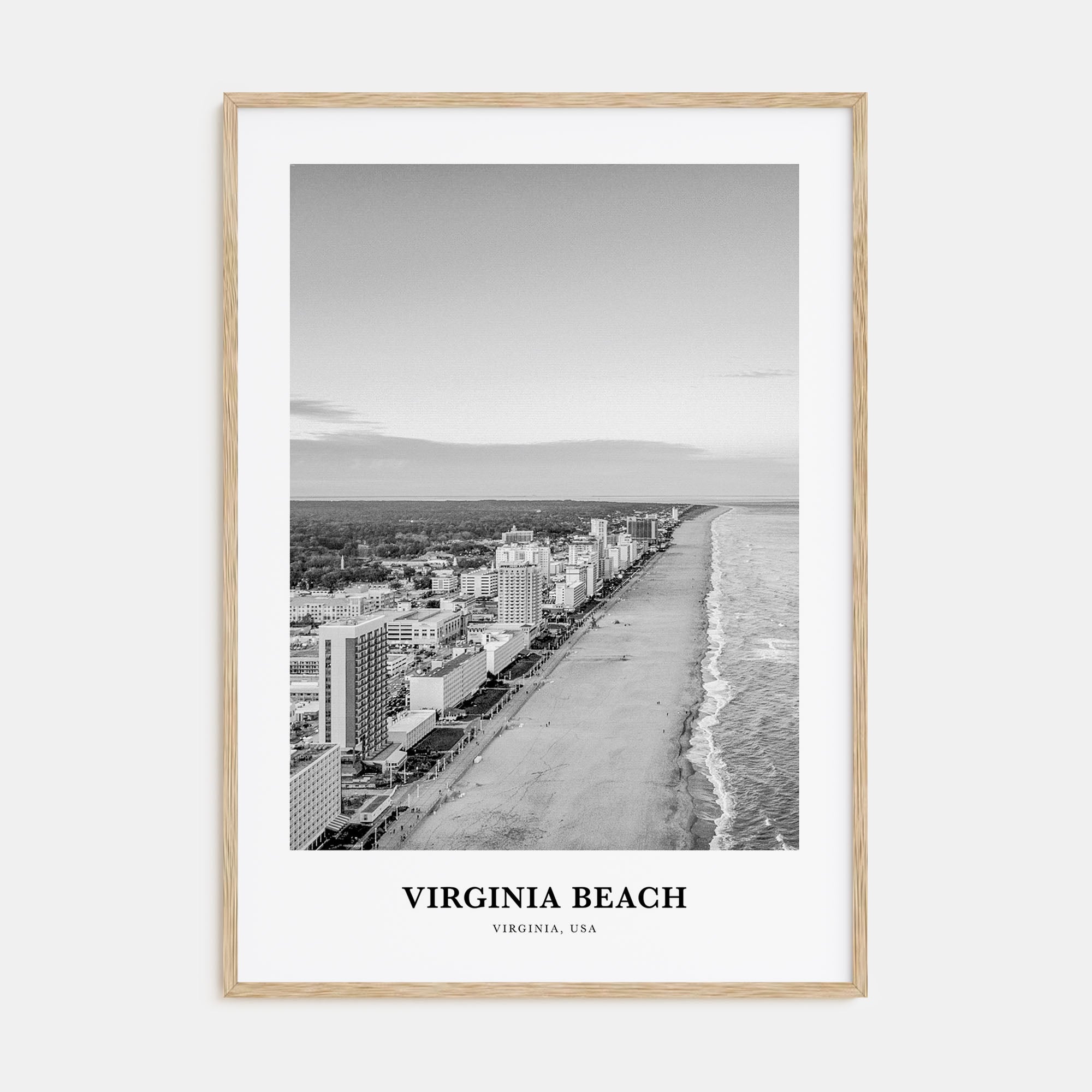 Virginia Beach Portrait B&W Poster