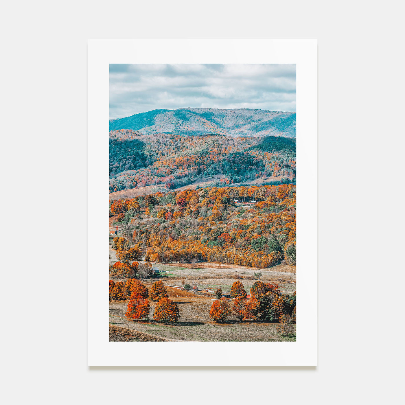 Virginia Photo Color No 1 Poster