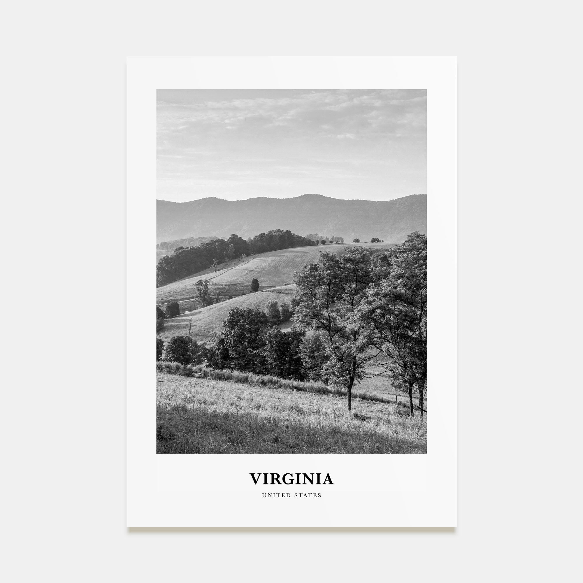 Virginia Portrait B&W No 1 Poster