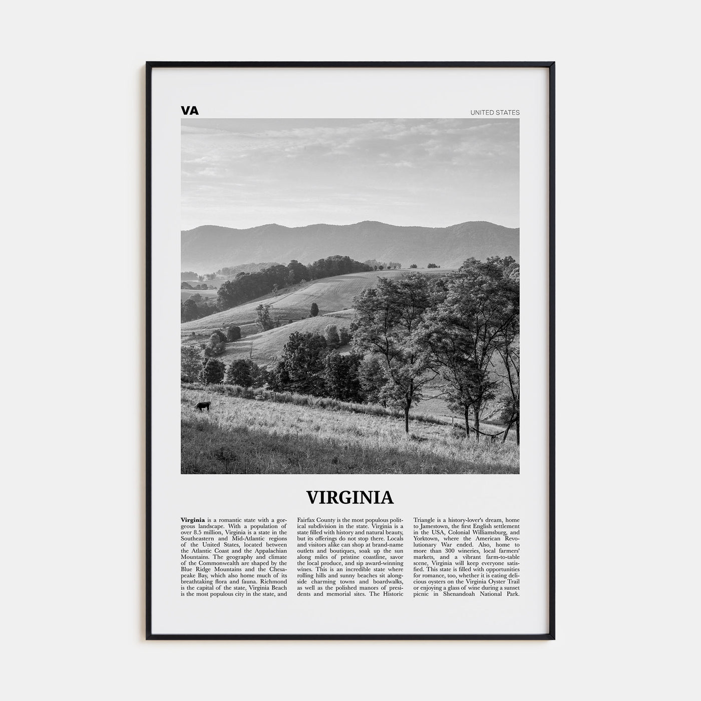 Virginia Travel B&W No 1 Poster