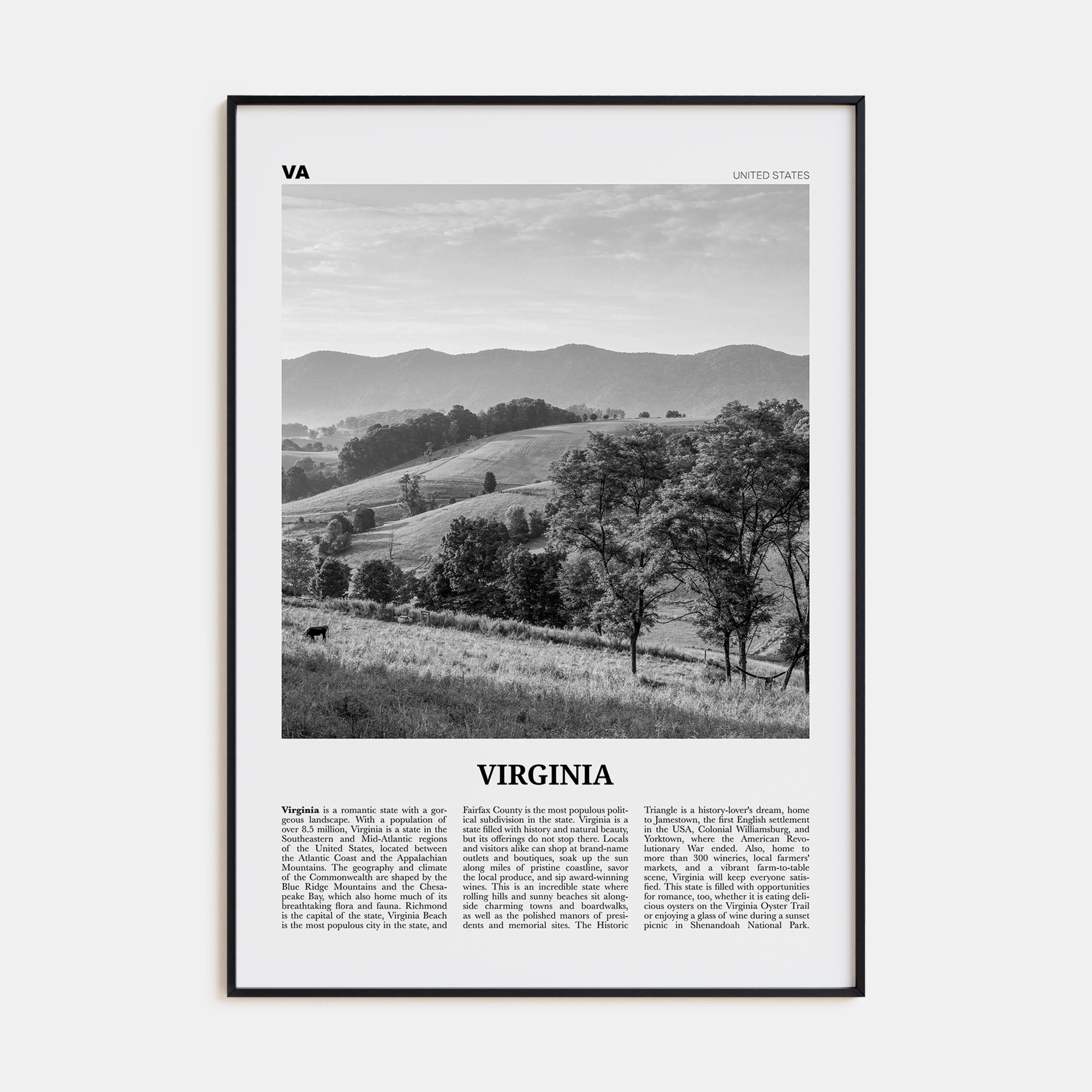 Virginia Travel B&W No 1 Poster