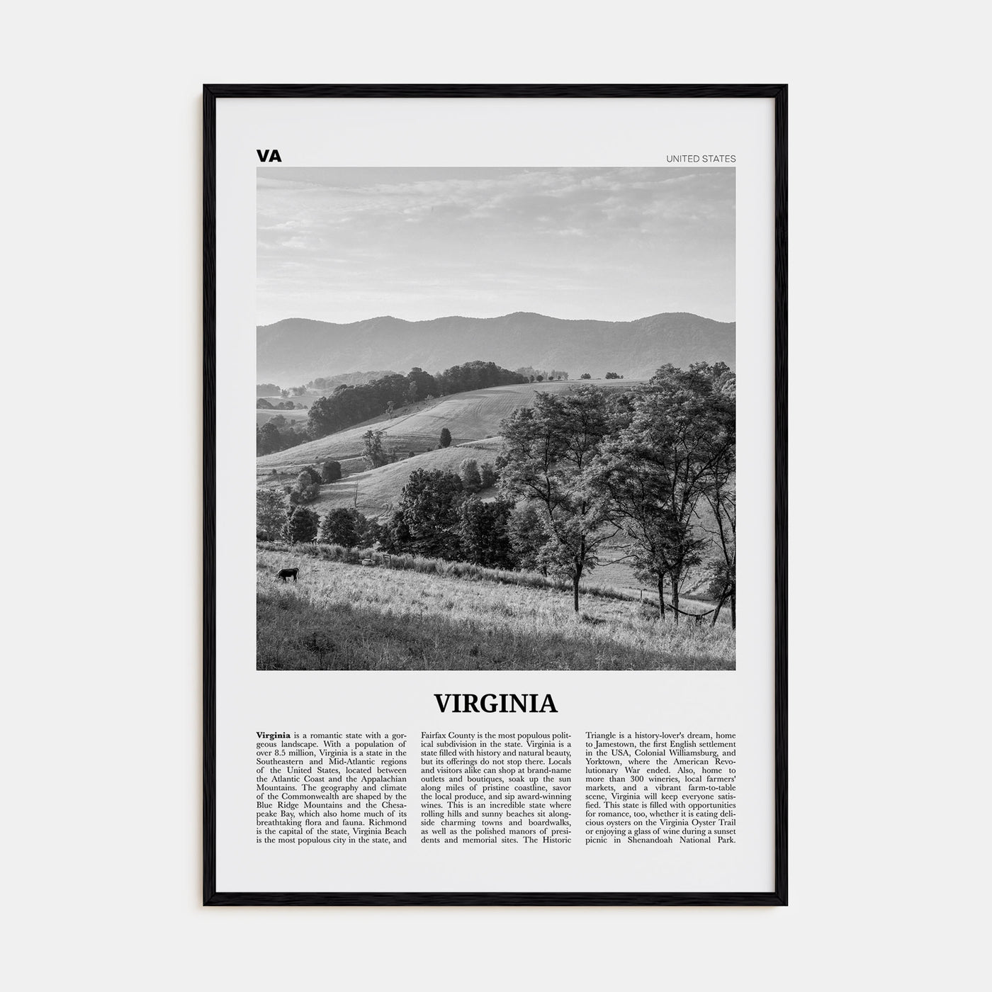 Virginia Travel B&W No 1 Poster