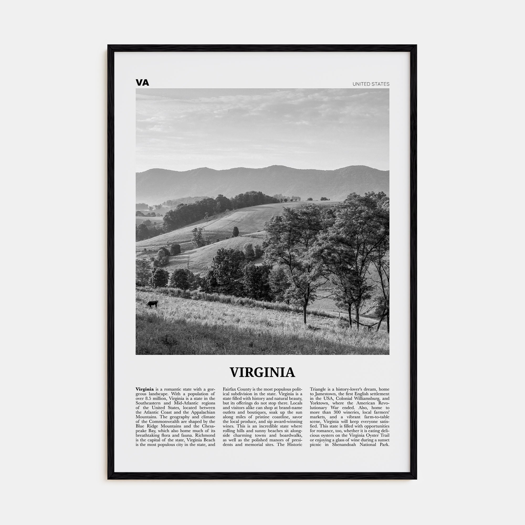 Virginia Travel B&W No 1 Poster