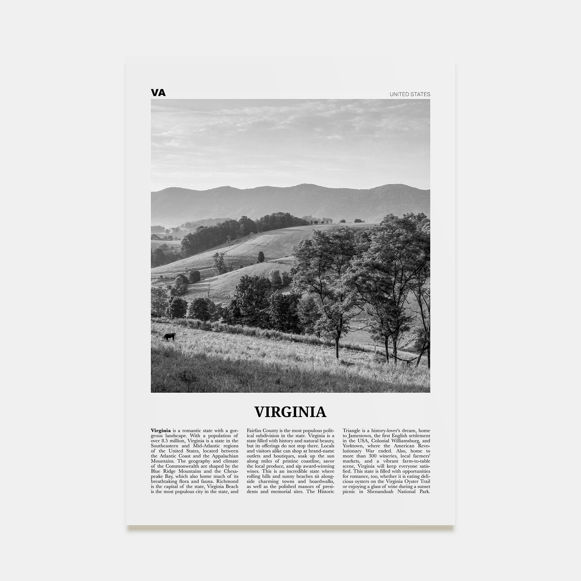 Virginia Travel B&W No 1 Poster