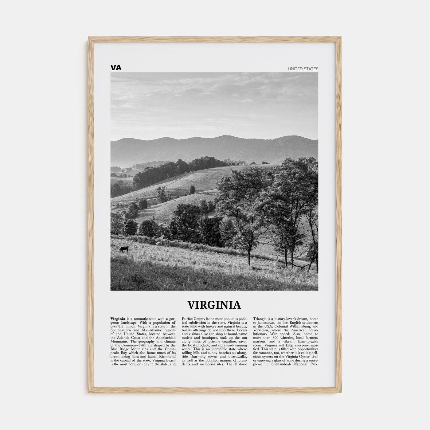 Virginia Travel B&W No 1 Poster