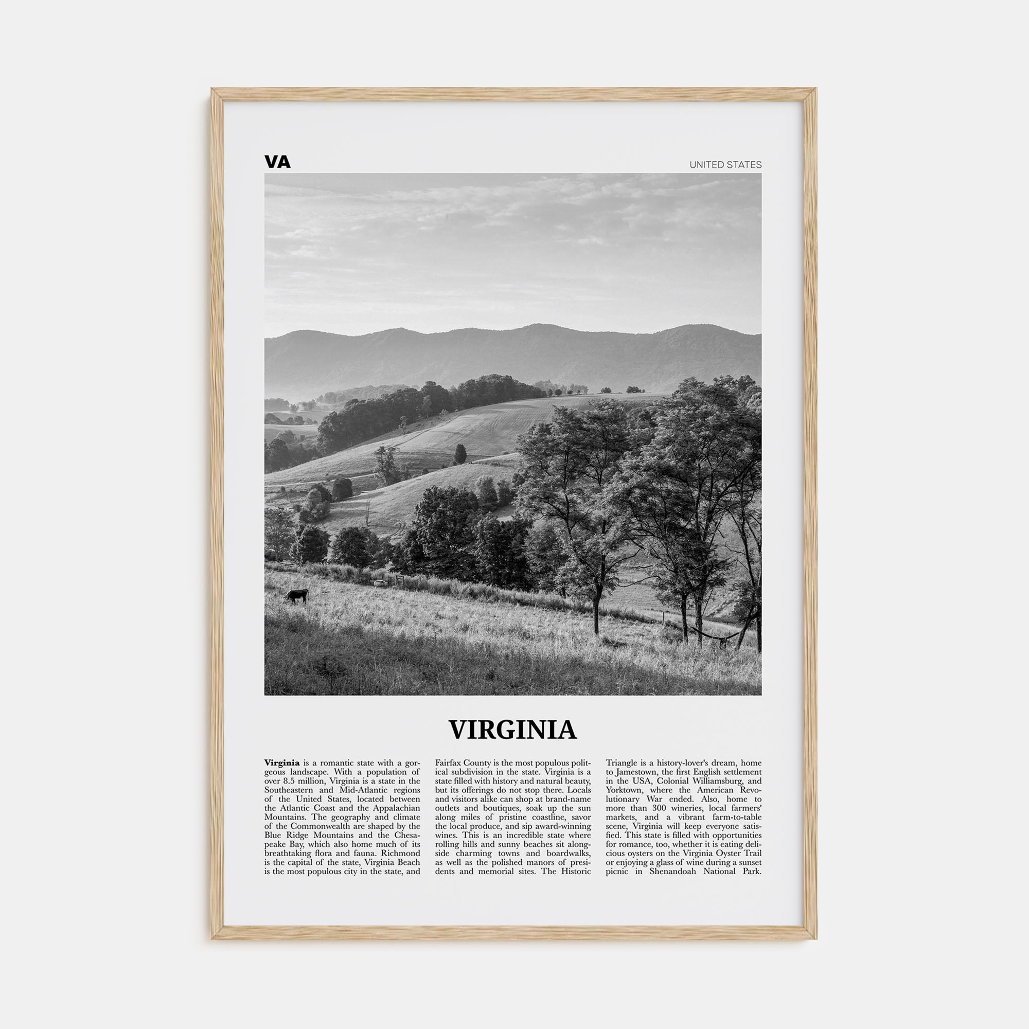 Virginia Travel B&W No 1 Poster