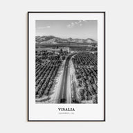 Visalia Portrait B&W Poster