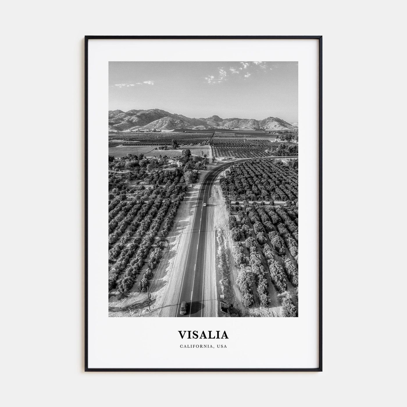 Visalia Portrait B&W Poster